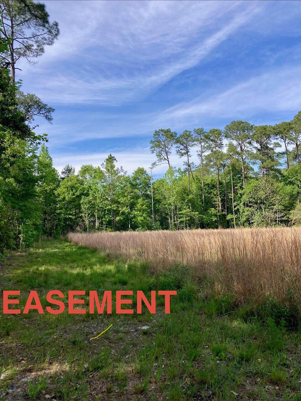 LOT 17 9th Lane - Photo 1