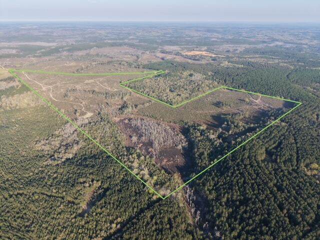 1718 TBD 198 Acres +/- - Photo 1