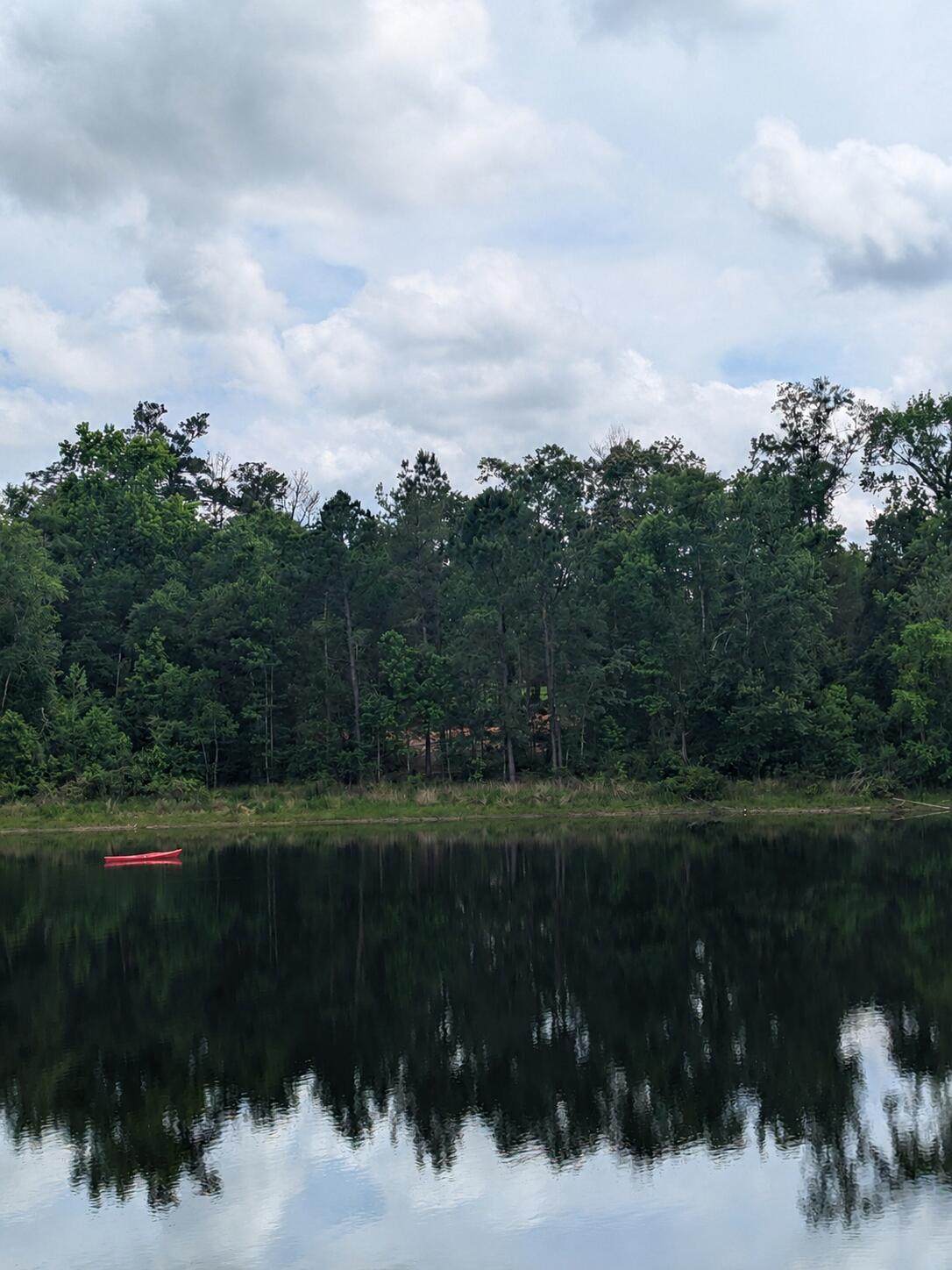 Lot 4 Dogwood Lakes Estates - Photo 1