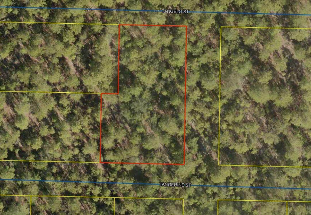 Lots 42-50 Tangerine Street - Photo 1