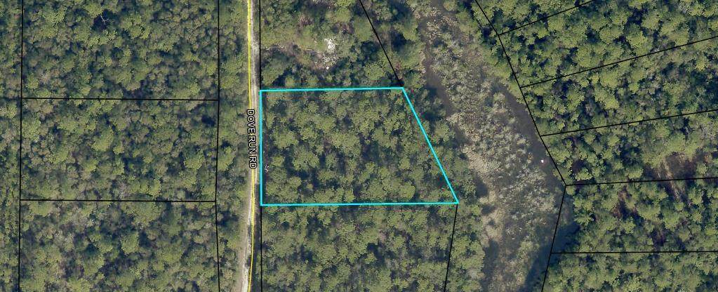 .99AC Dove Run Road - Photo 1