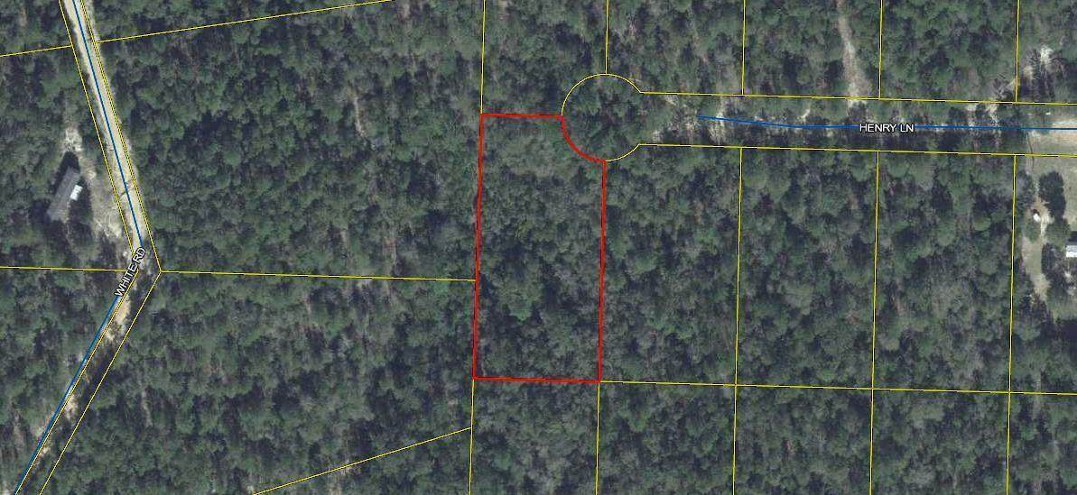 Lot 1 Henry Lane - Photo 1