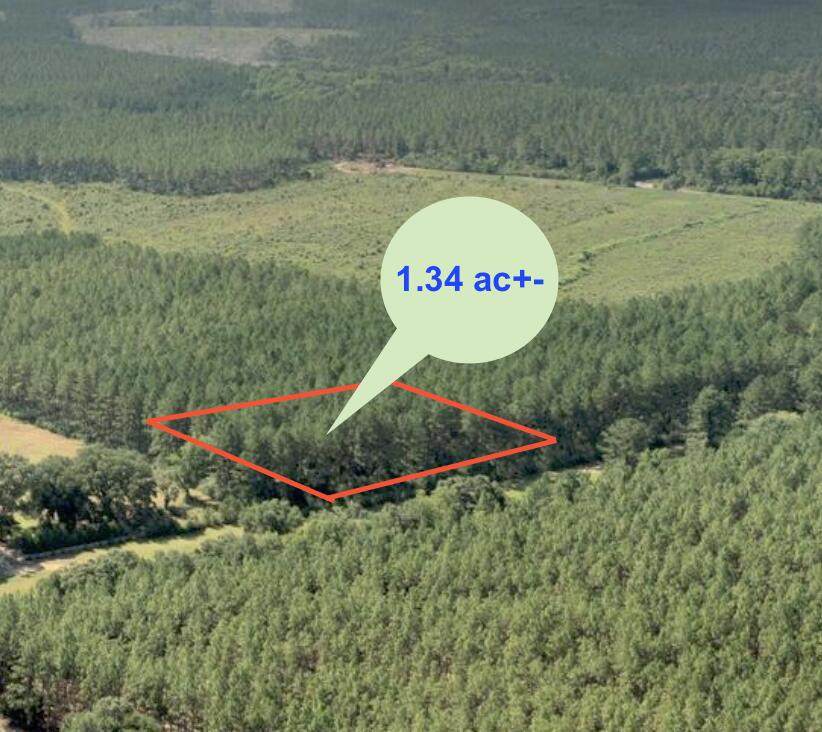 1.34 Acres Hwy 85 - Photo 1