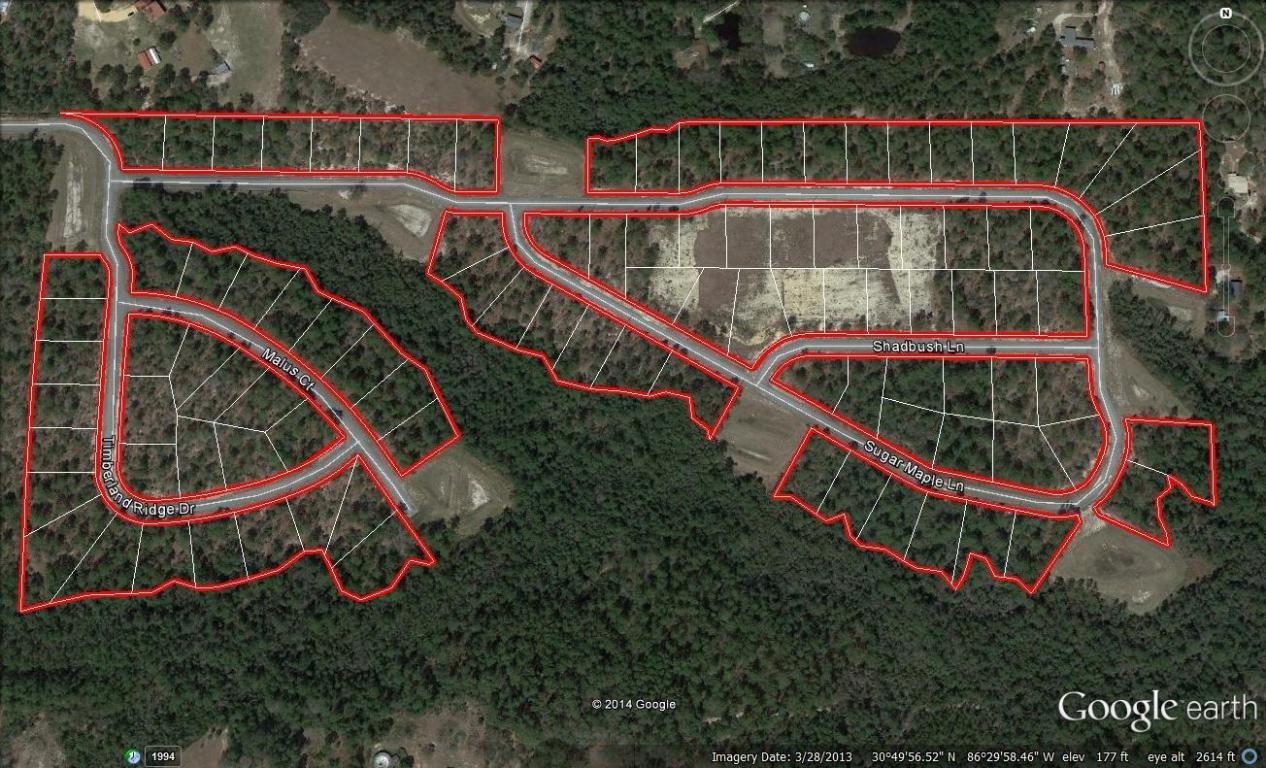98 LOTS Timberland Ridge S/D - Photo 1