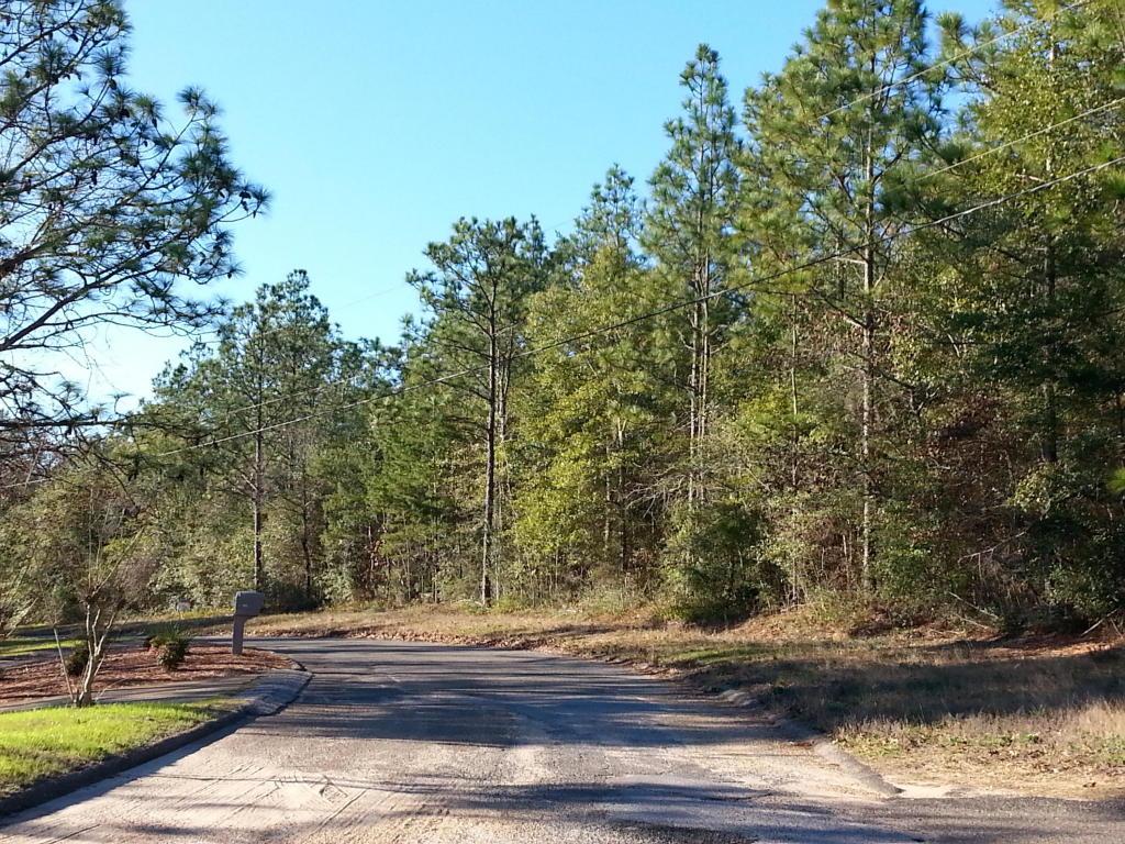 Lot 38 Grandview Drive - Photo 1