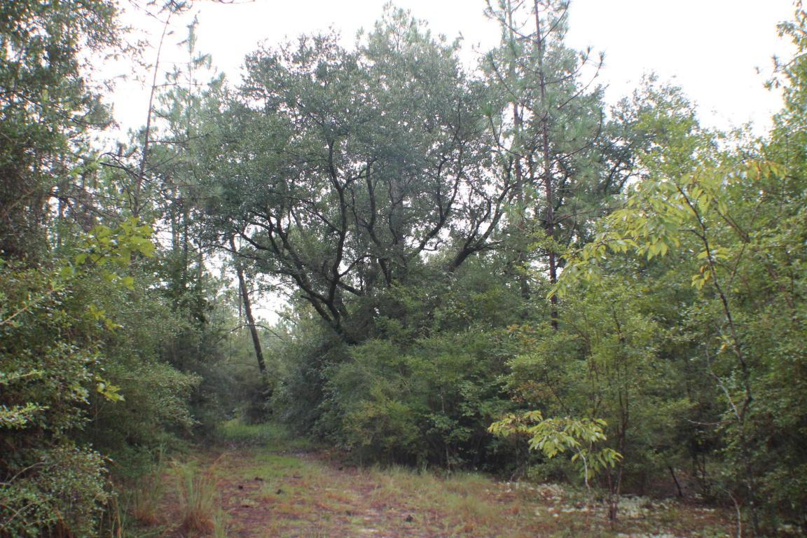82.5 AC Old River Road - Photo 1