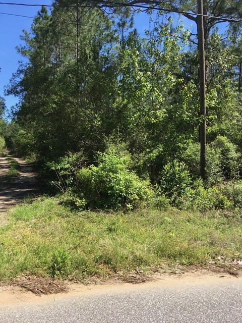 Lot 24 Simila Drive - Photo 1