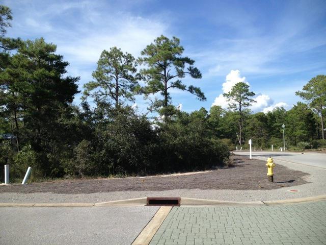 58 Ibis Drive - Photo 1