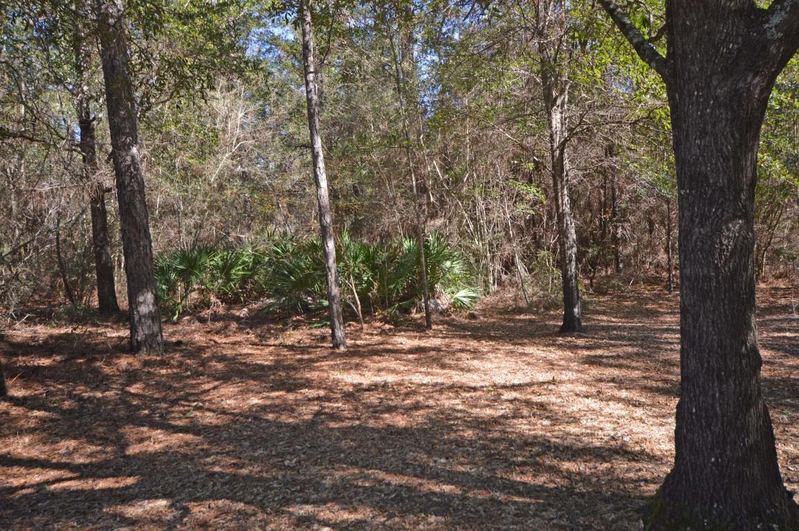 4691 Haybarn Road - Photo 1