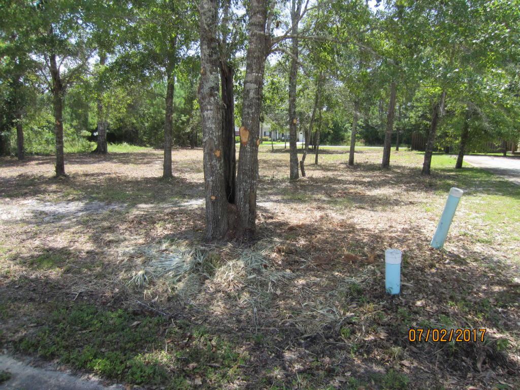 Lot 12 Bay Grove Boulevard - Photo 1