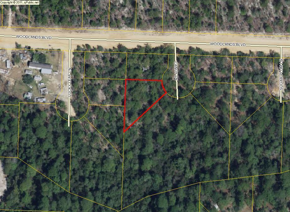 Lot 2 Candy Lane - Photo 1