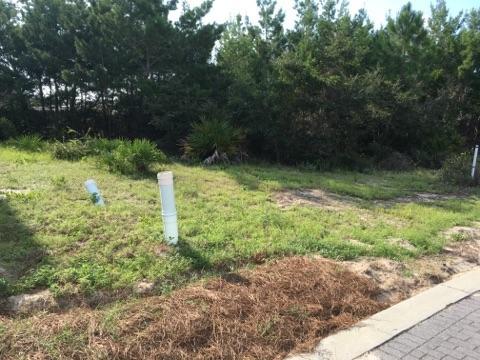 Lot 10 Sawgrass Lane - Photo 1