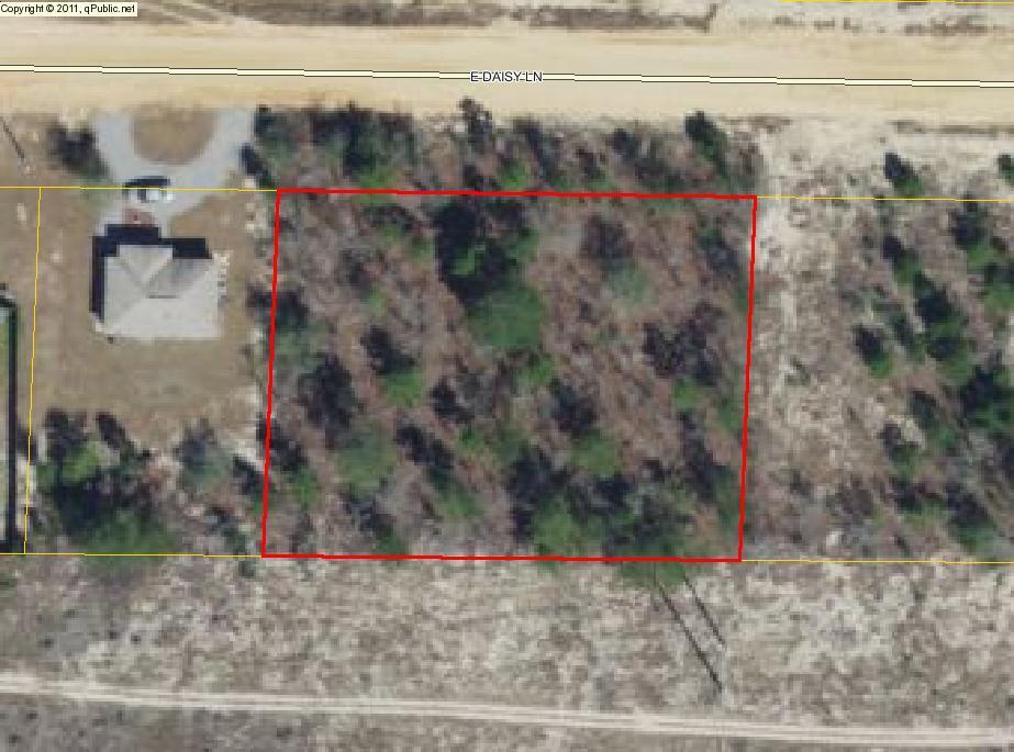 2 lots Daisy Lane - Photo 1