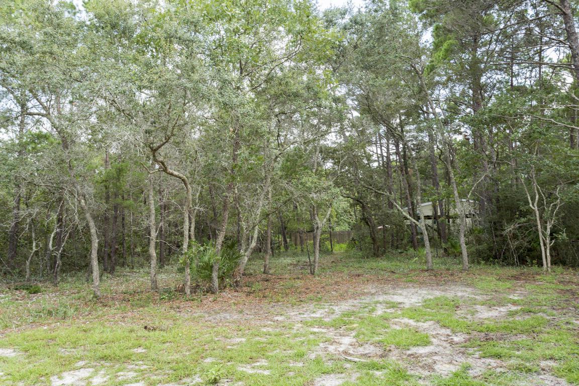 Lot #3 Earl Road - Photo 1