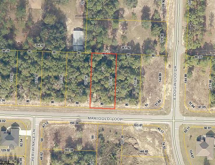 5771 Marigold Loop - Photo 1