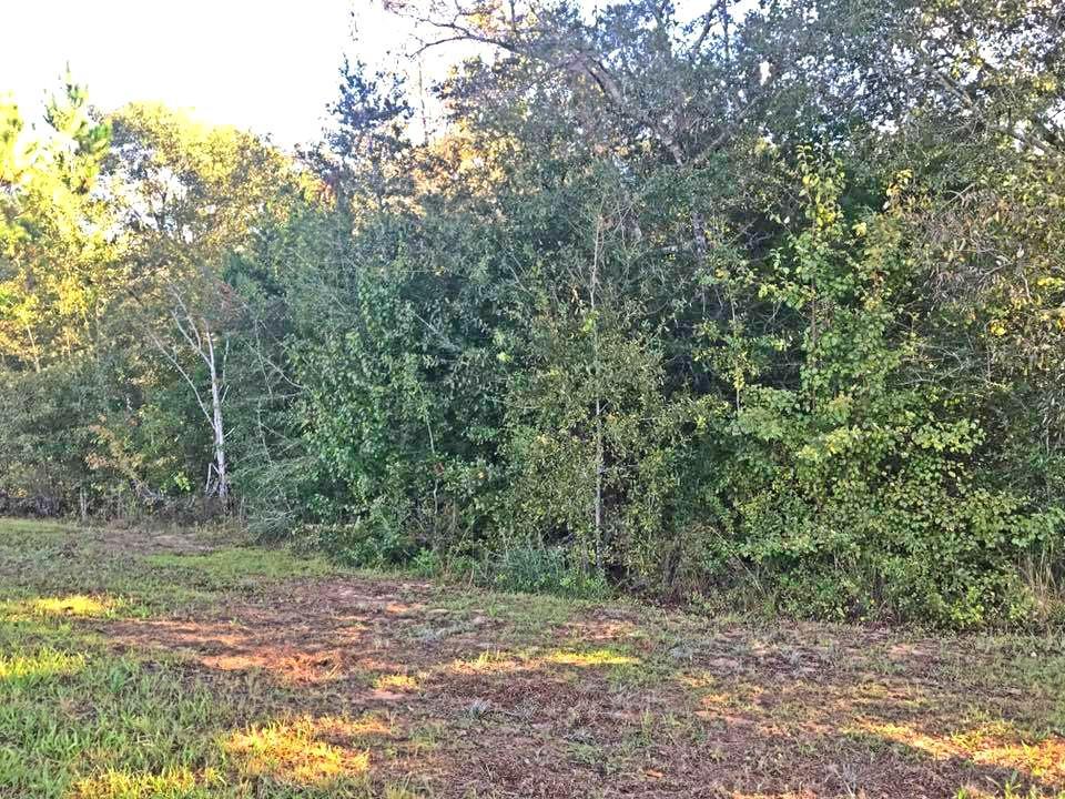 Lot 35 Ten Lake Dr - Photo 1