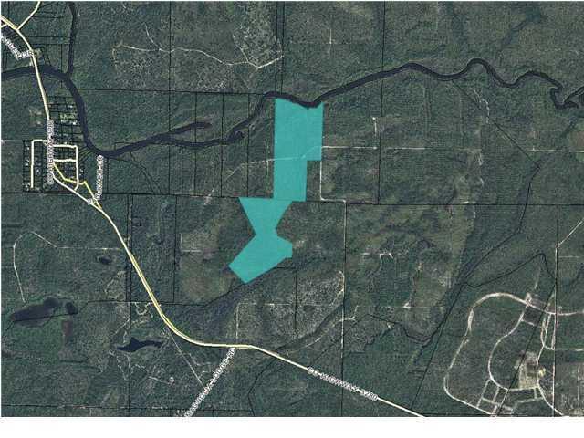 100 acres Black Creek Rd - Photo 1
