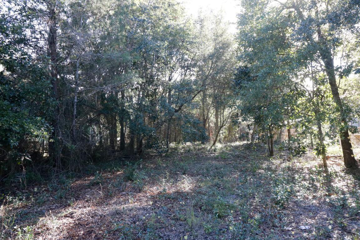 12 Morrison Avenue - Photo 1