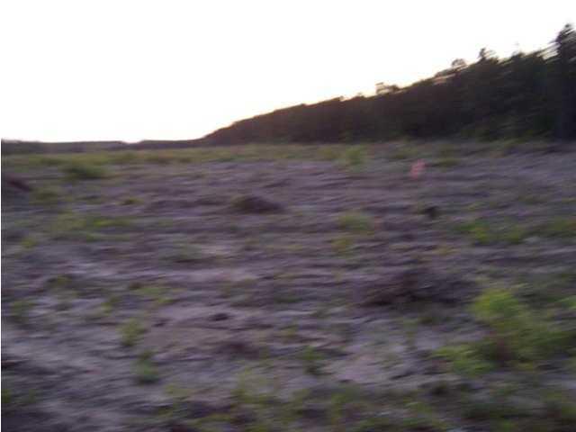 22 ACRES Williams Road - Photo 1