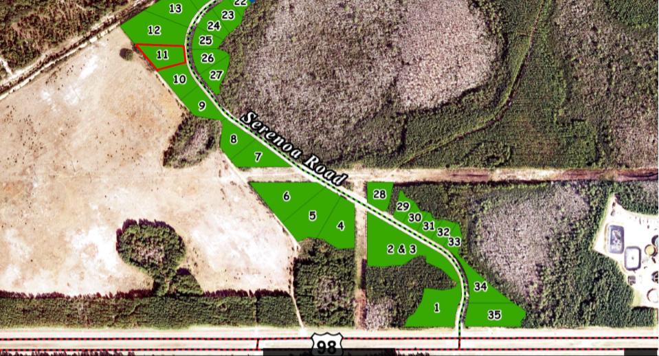 Lot 11 Serenoa Road - Photo 1