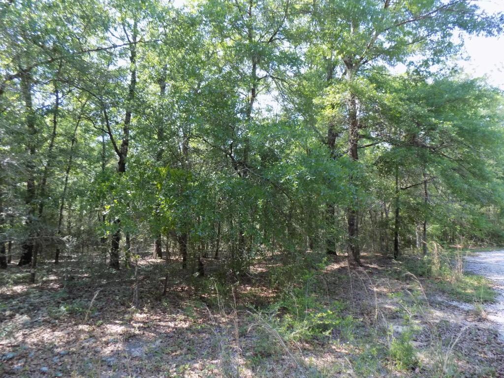 0 Spring Hill Estates - Photo 1