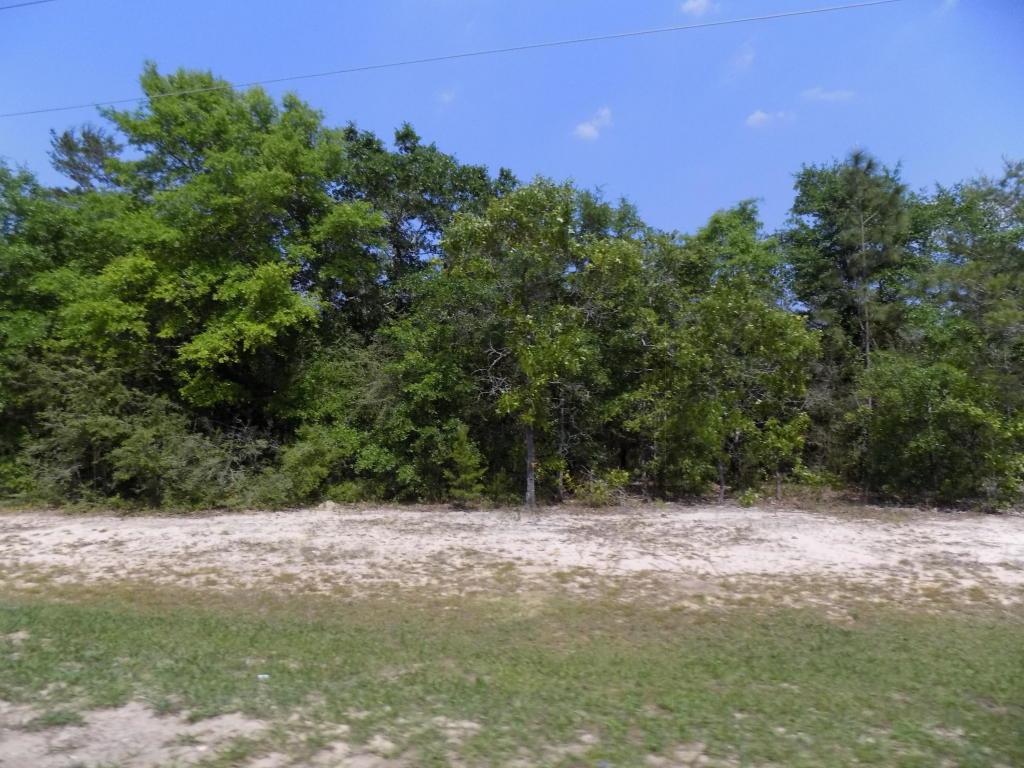 3 Spring Hill Estates - Photo 1
