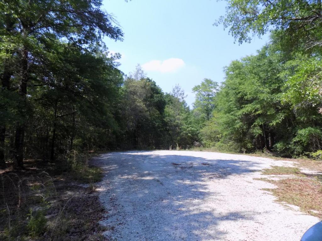 8 Spring Hill Estates - Photo 1