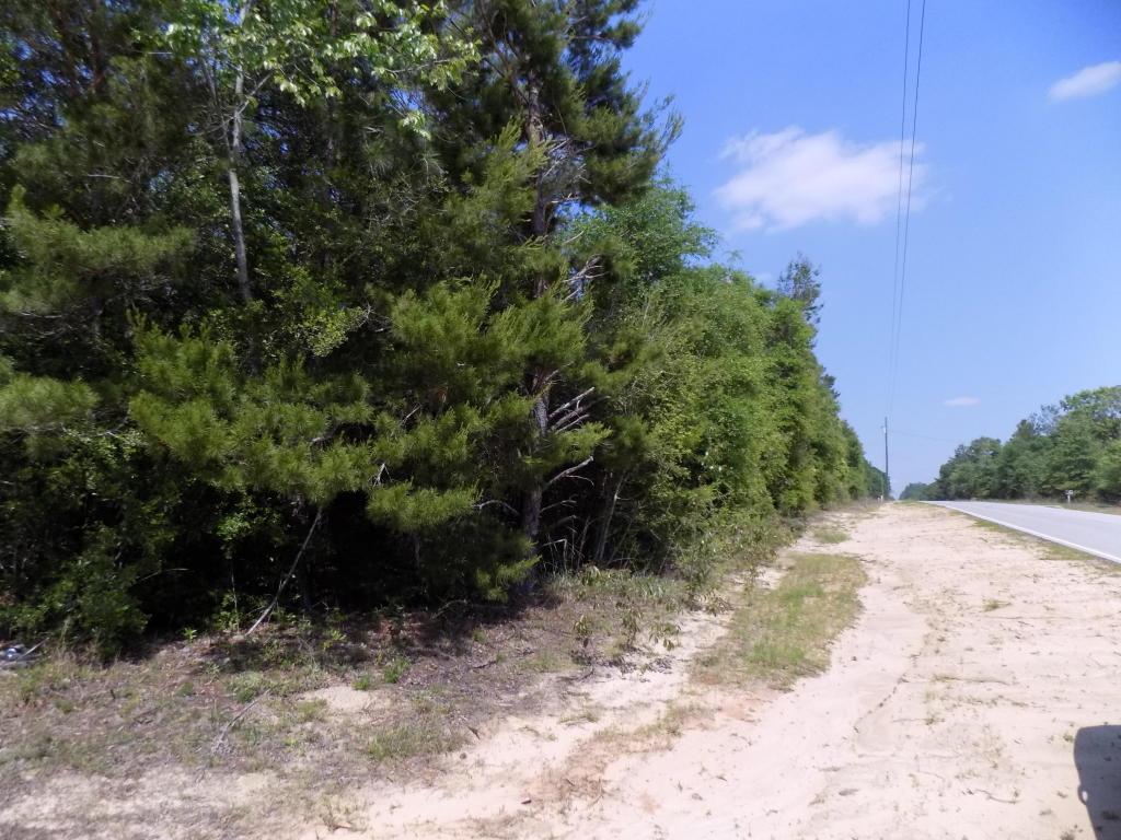9 Spring Hill Road - Photo 1