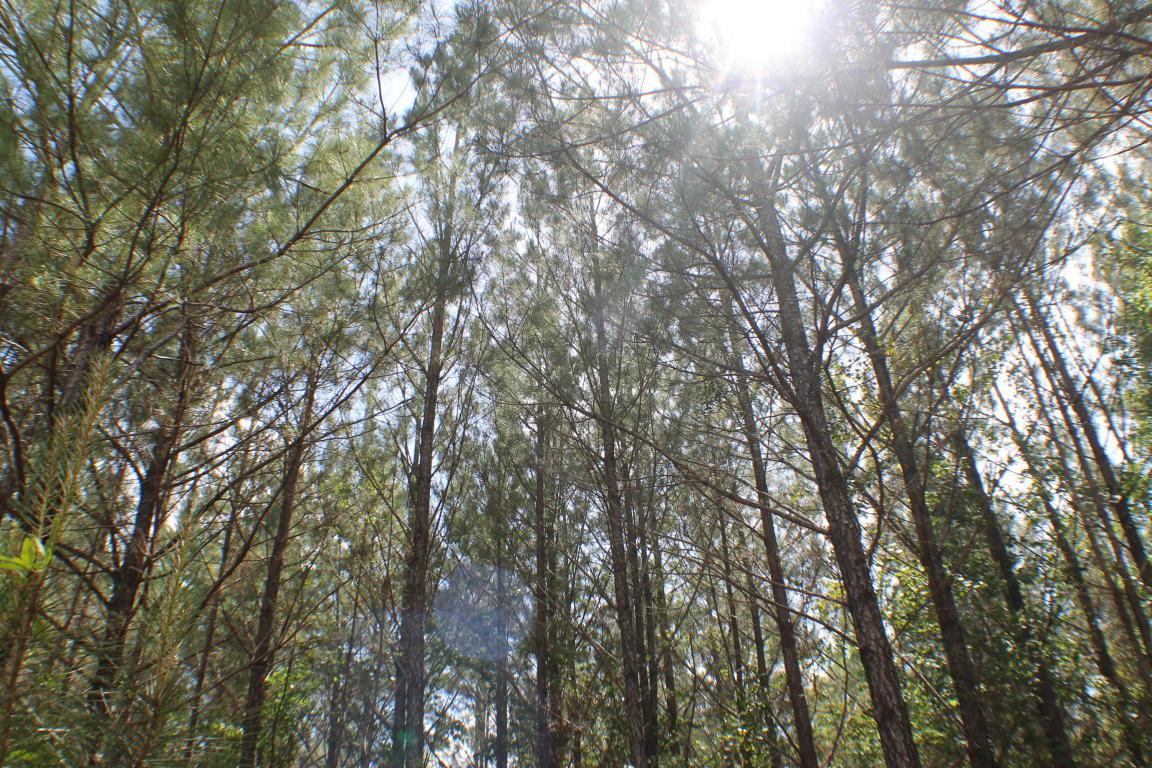 40 AC Yellow River Baptist Church Road - Photo 1