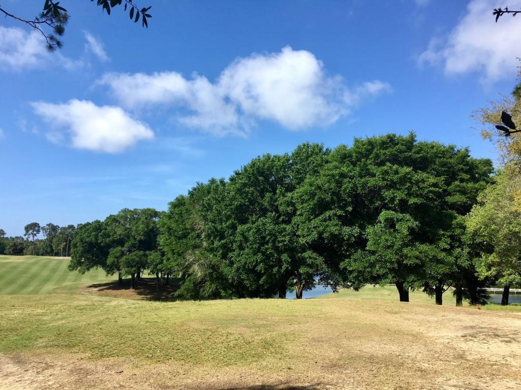 B Golf Course Drive - Photo 1