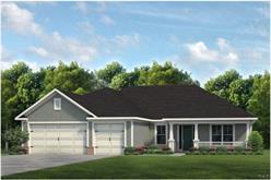 8019 Silver Maple Drive - Photo 1