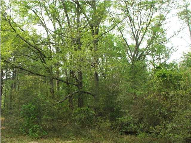 10 AC Mormon Temple Road - Photo 1