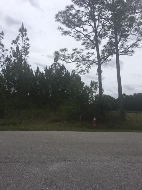 xxx Mary Kitchens Road - Photo 1