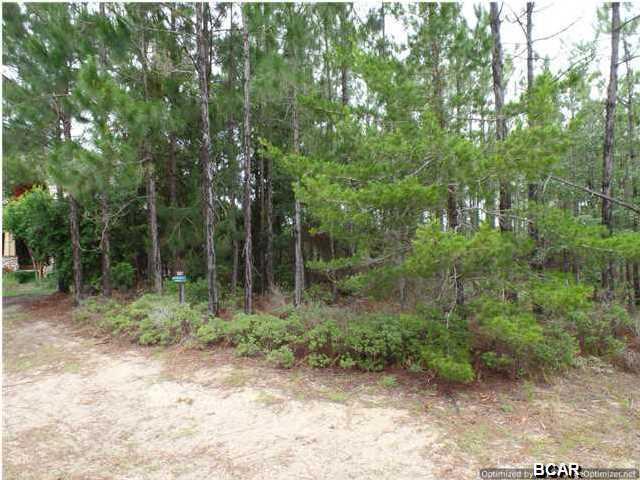 1507 Sweet Bay Trail - Photo 1