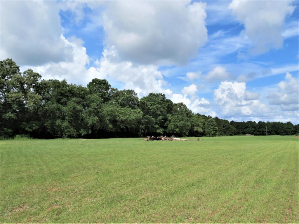 6337/6299 Sherman Kennedy Road - Photo 1