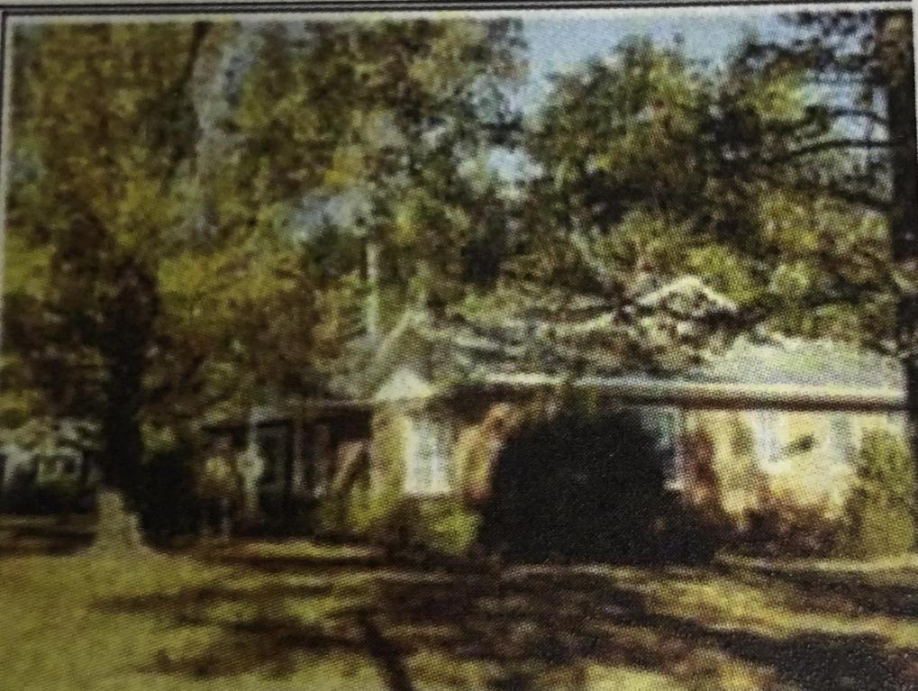 835 Us Highway 331 - Photo 1