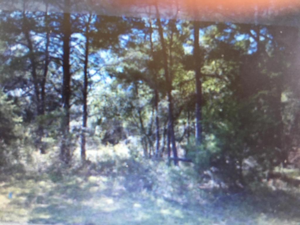 81 Carol Drive - Photo 1