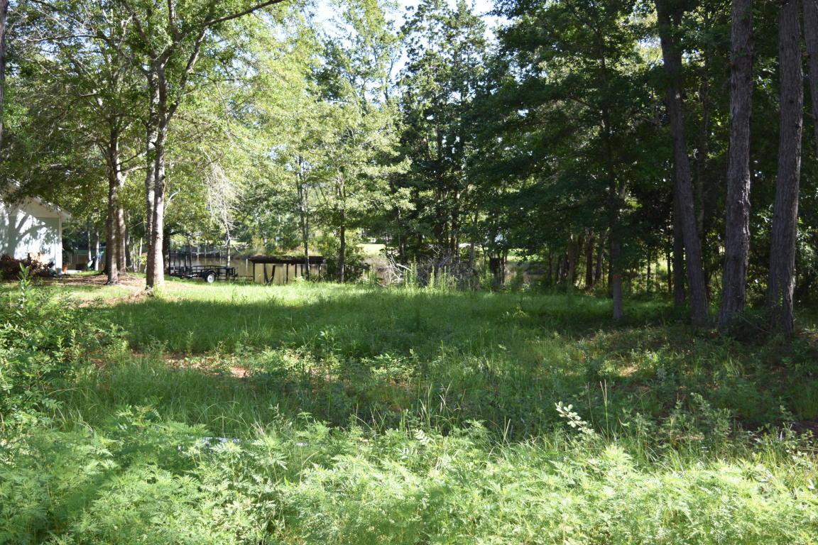 Lot 71 Waterside Lane - Photo 1