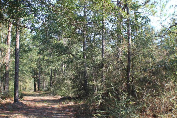 2.5 AC Possum Ridge Road - Photo 1