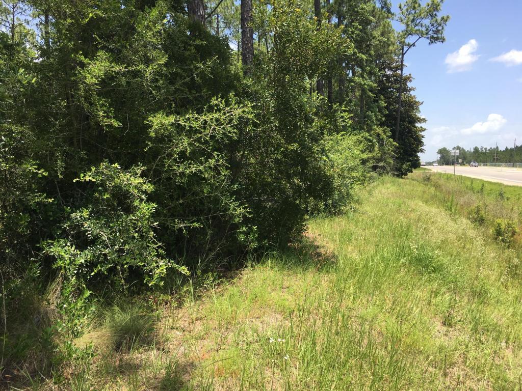 00 Avalon Boulevard - Photo 1