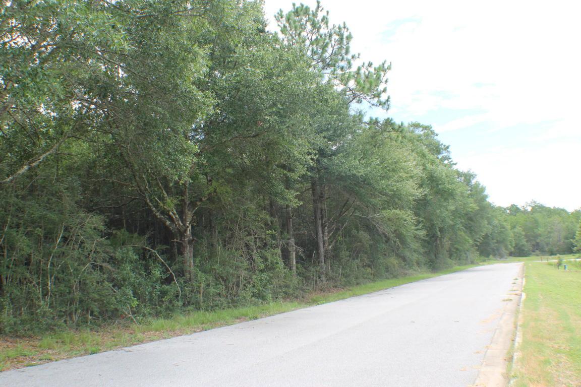 Lot 1 Wild Hare Lane - Photo 1