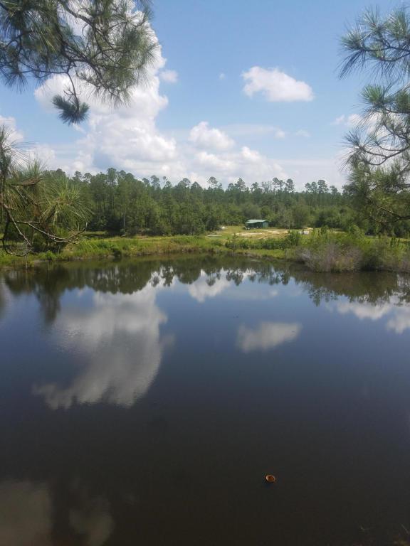 000 Pasco Broxson Circle - Photo 1