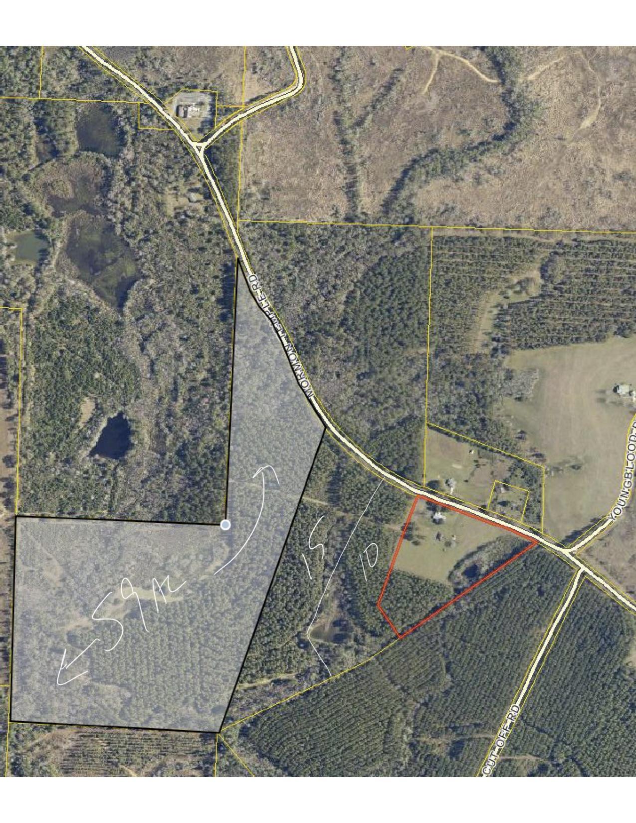25 AC Mormon Temple Road - Photo 1