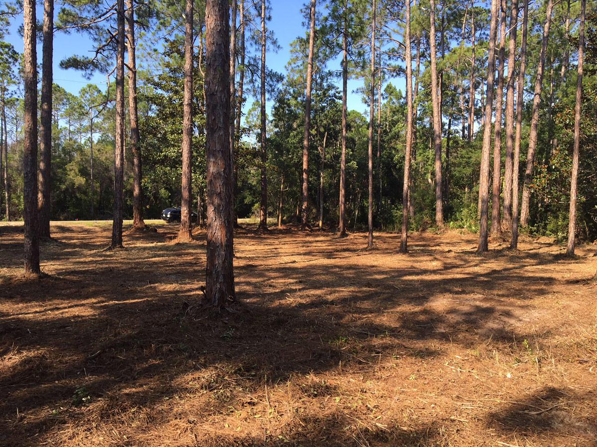 Lot 25&26 E. Point Washington Road - Photo 1