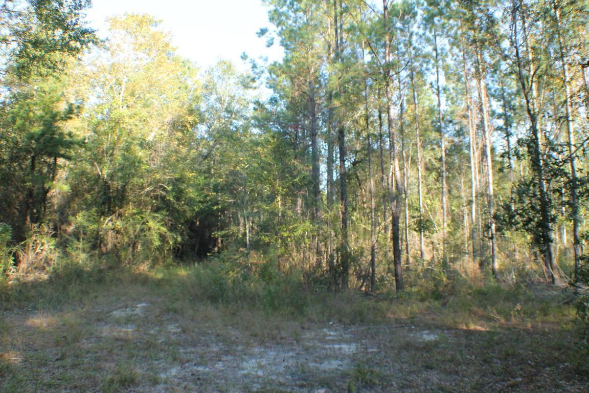 740.43 AC Dogwood Drive - Photo 1