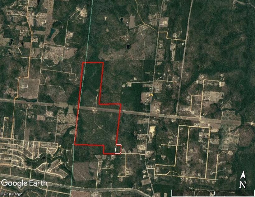 254.48 Acr Jeanine Way - Photo 1