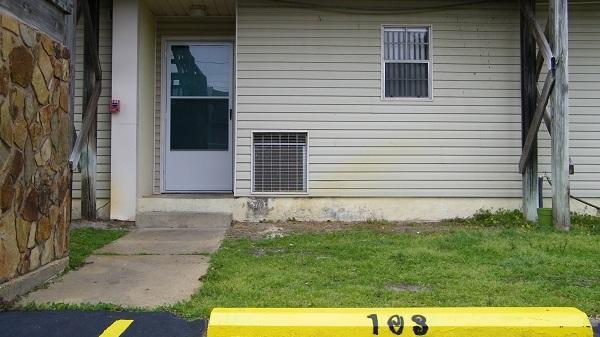 354 Billfish Avenue - Photo 1