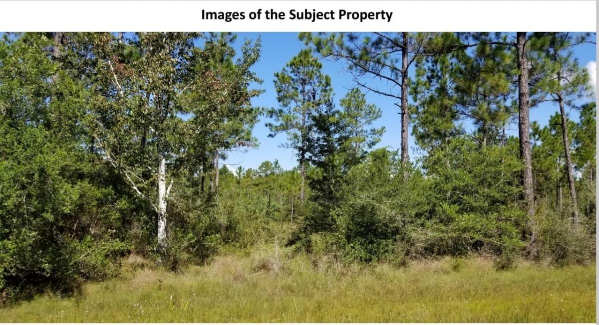 . Garcon Point Road - Photo 1