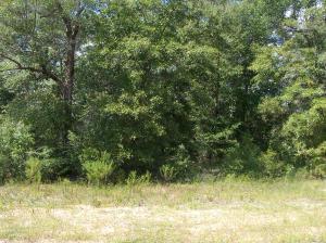 000 Ryan Road - Photo 1