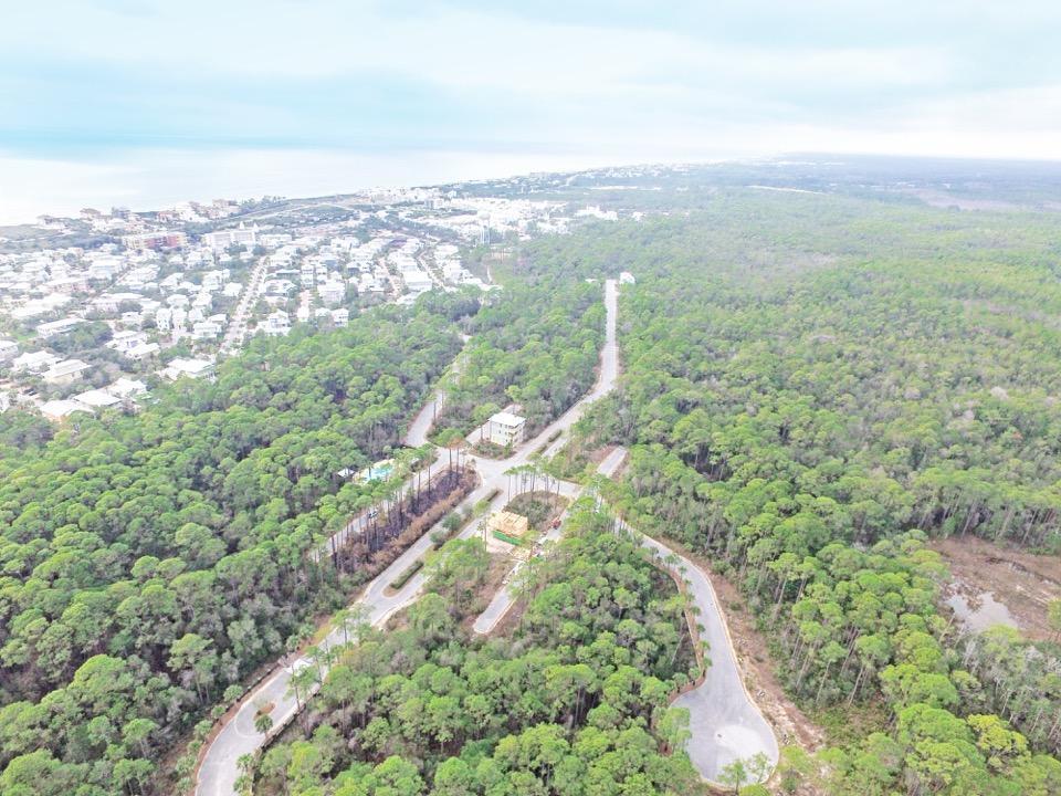 Lot 56 Redbud Lane - Photo 1